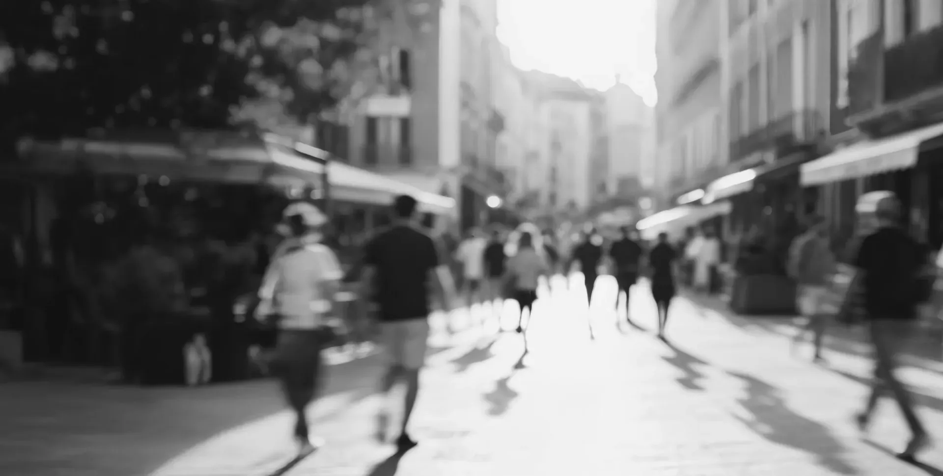 Üdv a Lipóti világában!